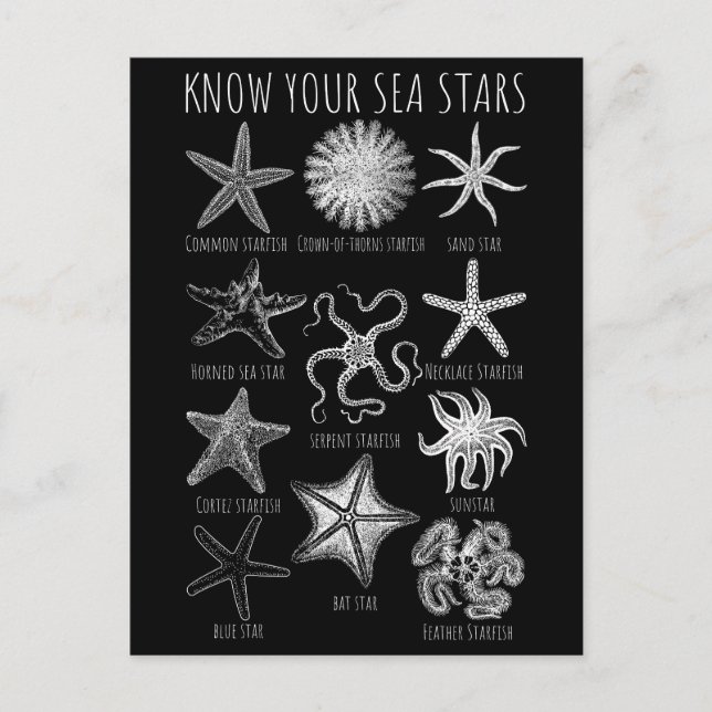 Carte Postale Connaissez vos étoiles de mer - Groupes Starfish (Devant)