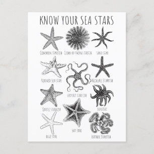 Carte Postale Connaissez vos étoiles de mer - Groupes Starfish