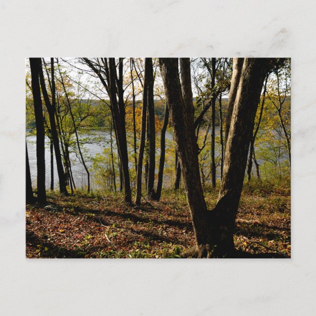 Carte Postale Connecticut (Devant)