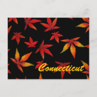 Carte postale Connecticut Autumn Leaves