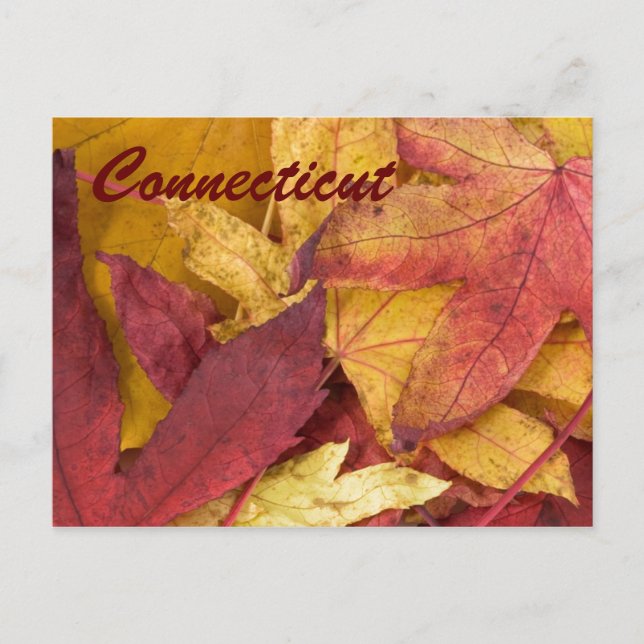 Carte postale Connecticut Autumn Leaves (Devant)