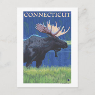 Carte Postale ConnecticutMoose au clair de lune