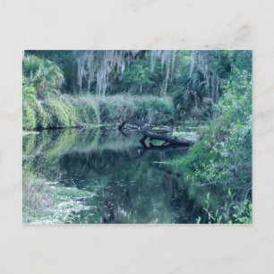 Carte Postale Connexion à la rivière