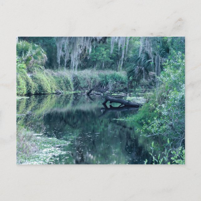 Carte Postale Connexion à la rivière (Devant)