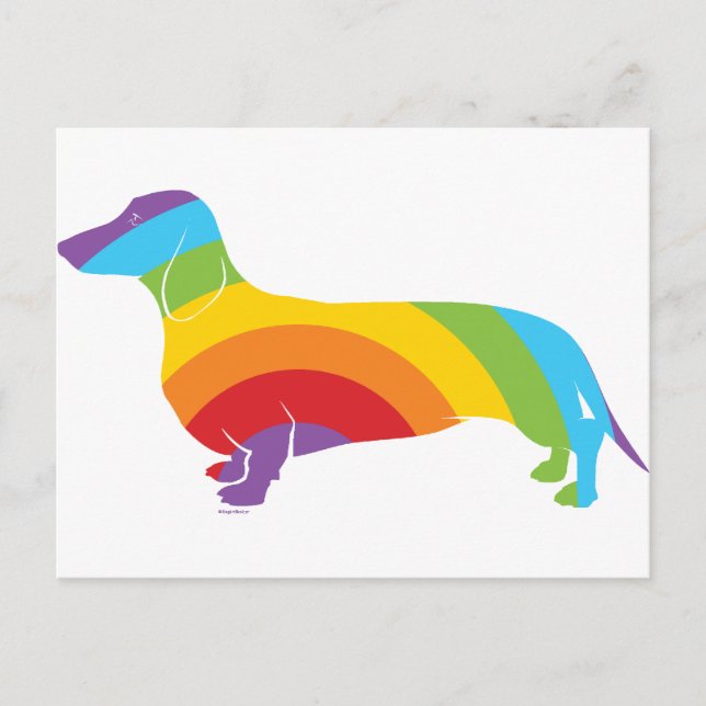 Carte Postale Connexion Doxie Rainbow (Devant)