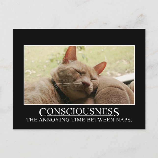 Carte Postale Conscience : le temps agaçant entre les siestes (Devant)