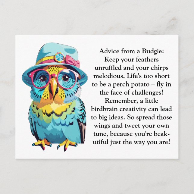 Carte Postale Conseil Amusant D'Un Budgie (Devant)