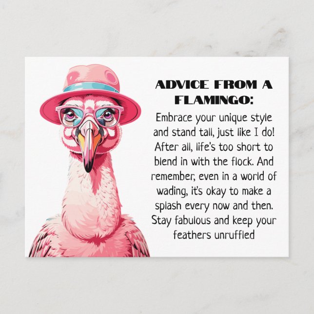 Carte Postale Conseil amusant d'un Flamant rose (Devant)