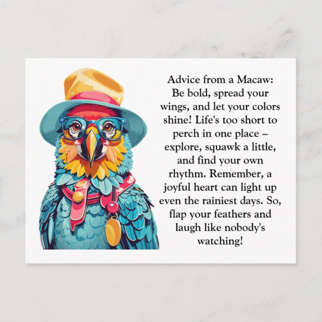 Carte Postale Conseil Drôle D'Un Macaw (Devant)
