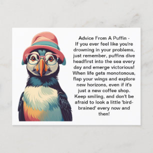 Carte Postale Conseil Drôle D'Un Puffin