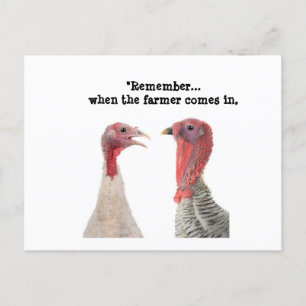 Carte Postale Conseil Humoristique De La Turquie De Thanksgiving