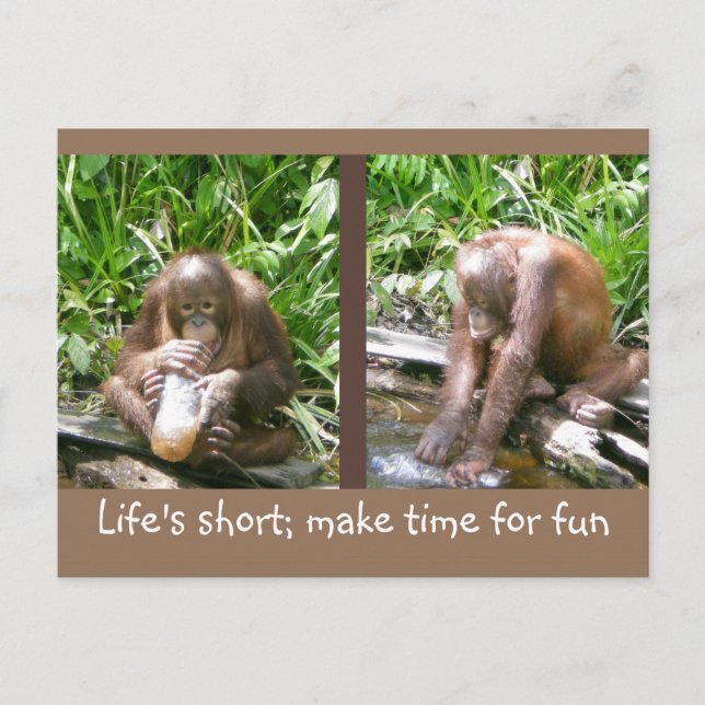 Carte Postale conseil : La vie est courte, amusez-vous (Devant)