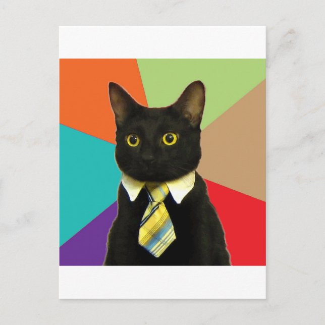 Carte Postale Conseils de chat d'entreprise Mème animal (Devant)