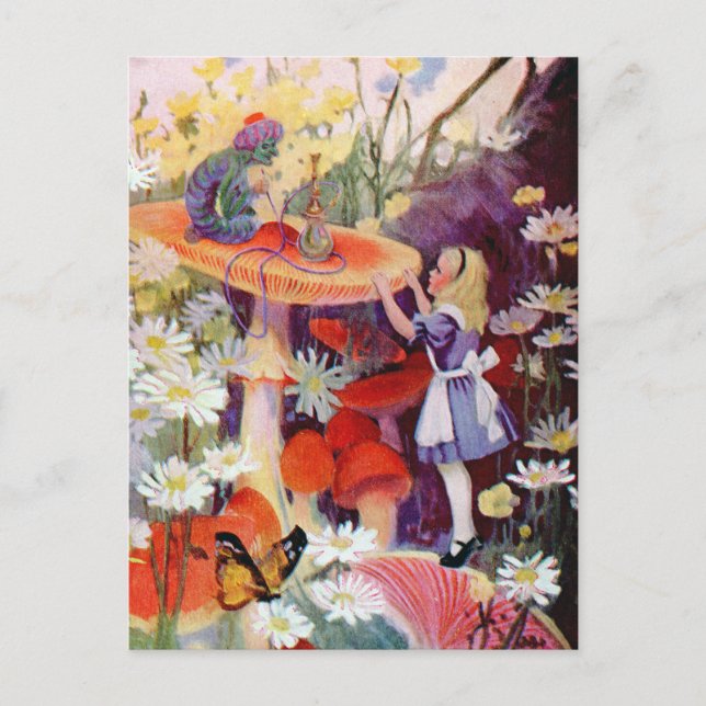 CARTE POSTALE CONSEILS D'UNE CHENILLE (Devant)