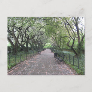 Carte Postale Conservatoire Garden Central Park New York City NY