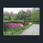 Carte Postale Conservatory Garden (Central Park, New York City)<br><div class="desc">Niché dans le coin nord-est de Central Park,  Conservatory Garden est l'un des secrets les mieux gardés de New York,  et l'un de mes endroits préférés de la ville. J'ai pris cette photo lors d'une de mes nombreuses promenades dans le jardin.</div>
