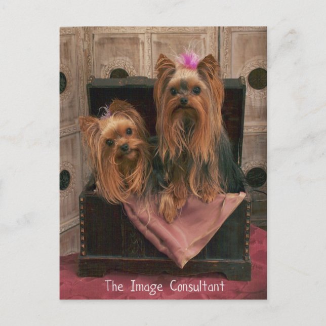 Carte Postale Consultant d'images (Devant)
