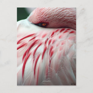 Carte Postale Consultez un livre