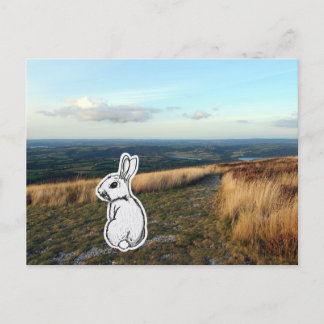 Carte Postale Contemplative Rabbit