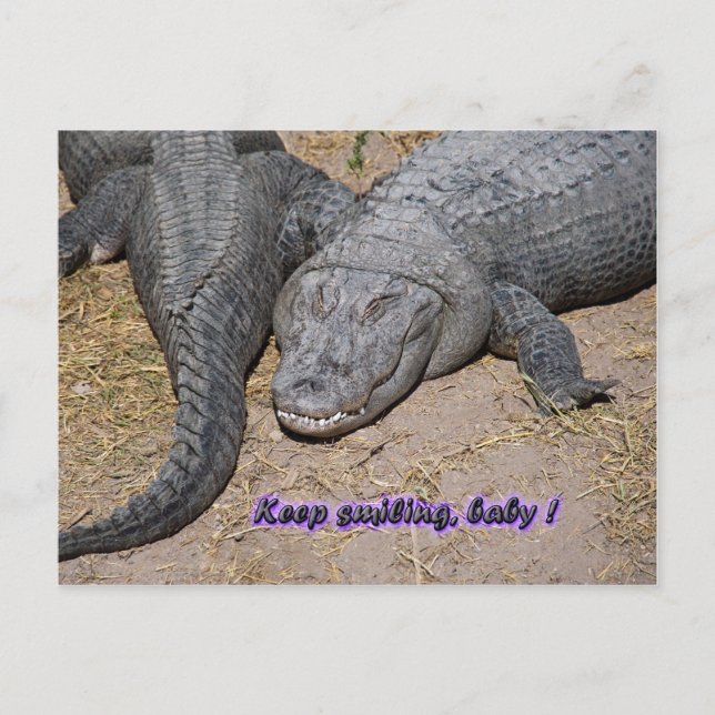 Carte Postale continue à sourire, bébé ! (Devant)