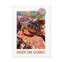 Continuez à aller Inspirational coddiwompling tort