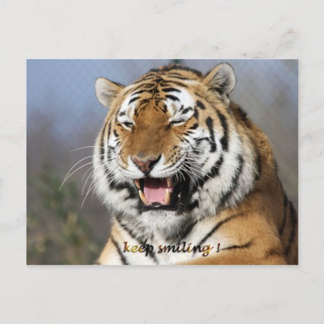 Carte Postale continuez à sourire (Devant)