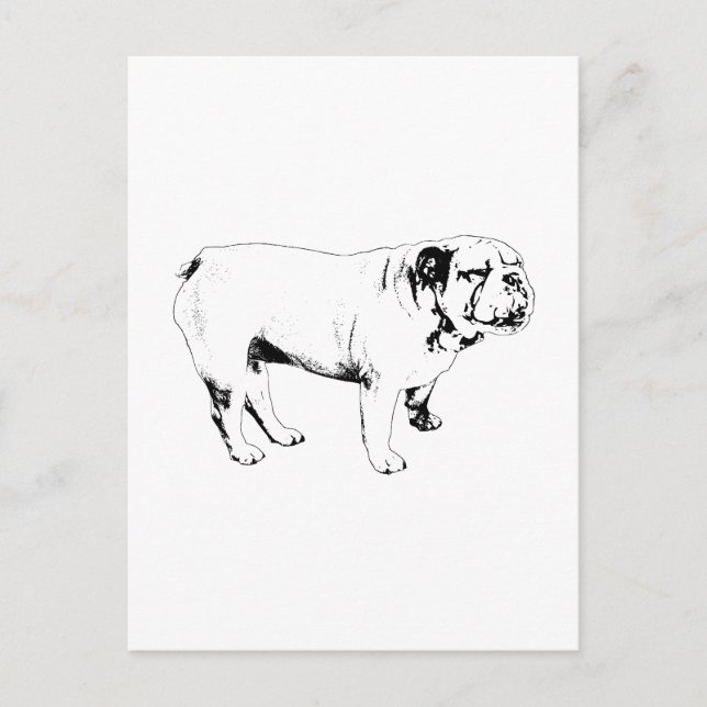 Carte Postale contour bonjour, bouledogue (Devant)