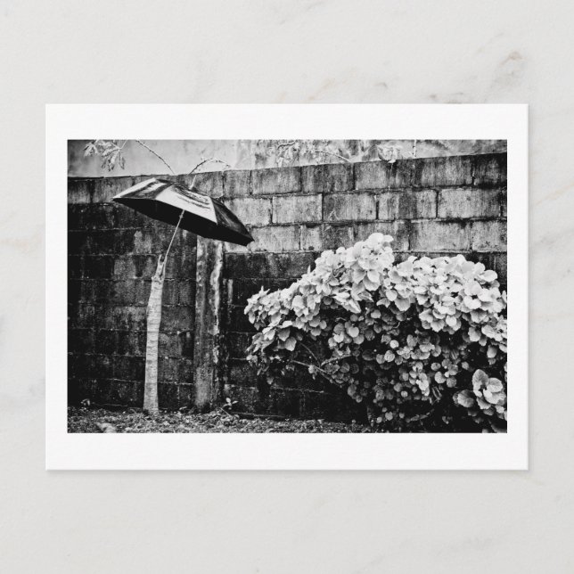 Carte Postale contre la pluie (Devant)