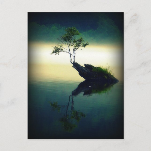 Carte Postale Contre tous les obstacles - Belle photo d'arbre (Devant)