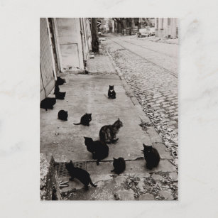 Carte Postale Conversations Bercy - Paris - 1974- Robert Doisnea