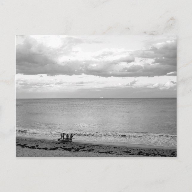 Carte Postale Coogee Beach (Devant)