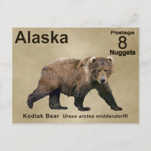 Carte Postale Cook bear