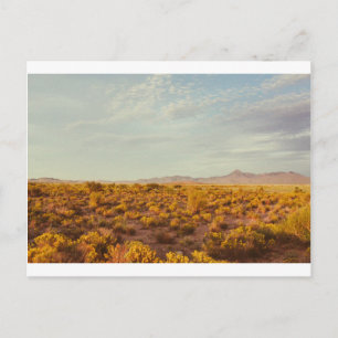 Carte postale Cookes Peak 14