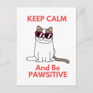 Carte Postale Cool Chat Porter Des Lunettes Soyez Pawsitive