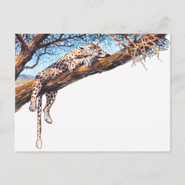 Carte Postale Cool cheetah (Devant)