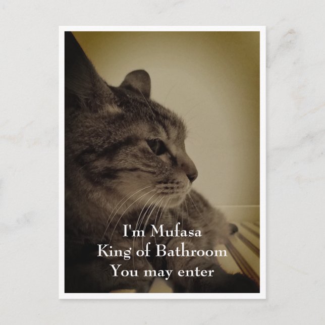 Carte Postale Cool & Funny Salle de bain Bienvenue (Devant)