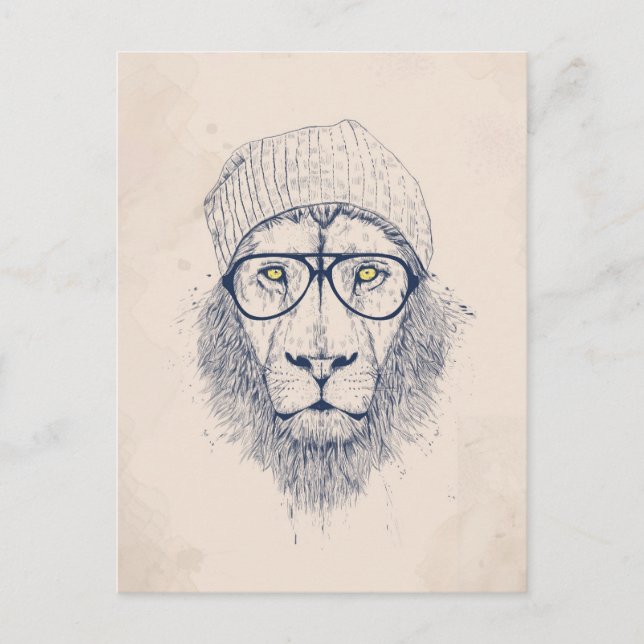 Carte Postale Cool lion (Devant)