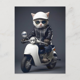 Carte Postale Cool Scooter Kitty Félicitations