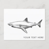 Carte postale cool Shark