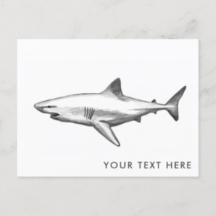 Carte postale cool Shark
