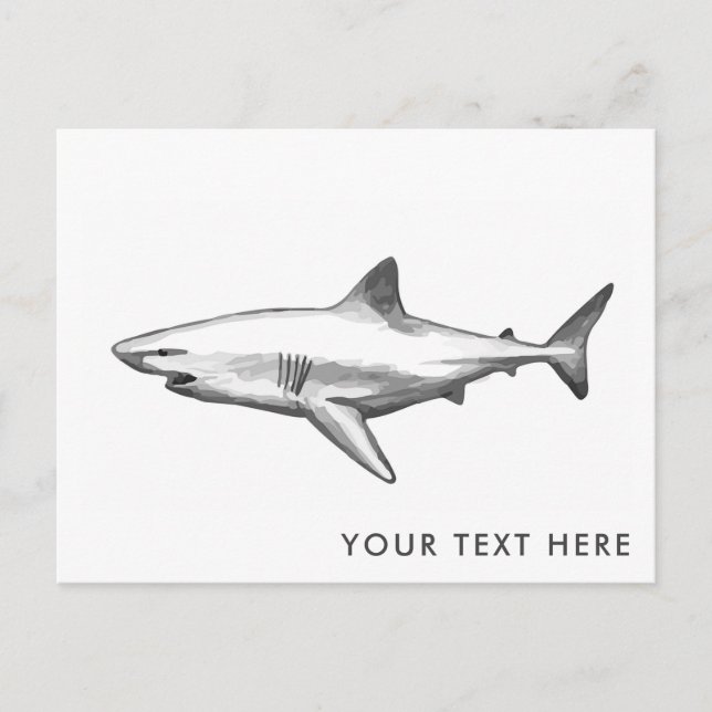 Carte postale cool Shark (Devant)