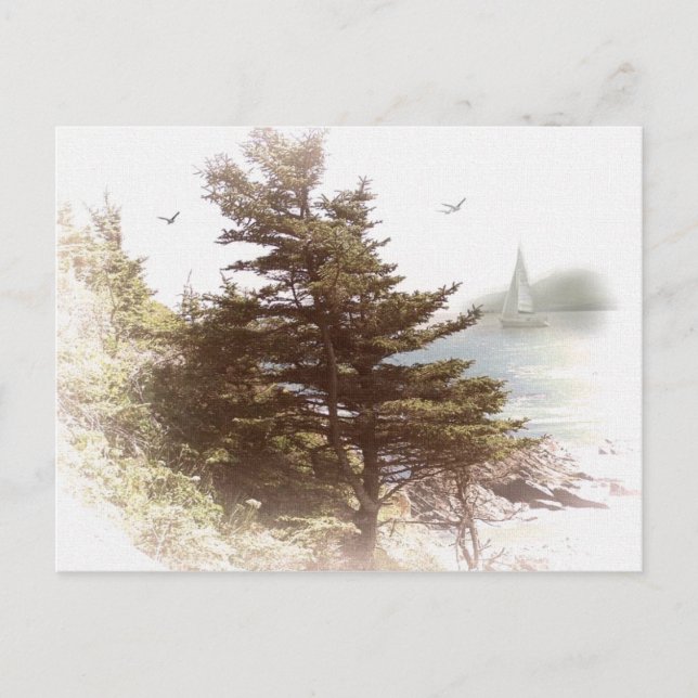 Carte Postale Coos Bay Oregon (Devant)