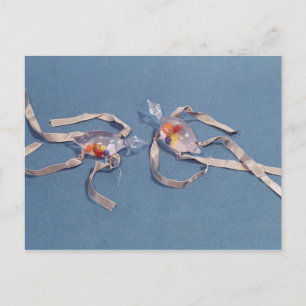 Carte Postale Copie de deux thermomètres médicaux