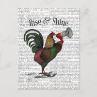 Coq avec Loudhailer 2