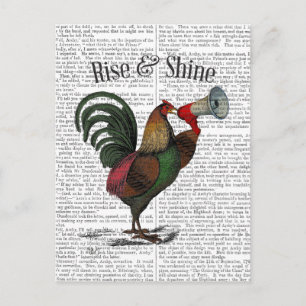 Carte Postale Coq avec Loudhailer 2