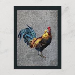 Carte Postale Coq Bantam coloré