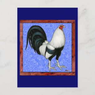 Carte Postale Coq de combat encadré