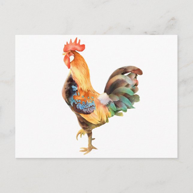 Carte Postale Coq de couleur vive (Devant)