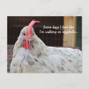 Carte Postale Coq drôle avec citation