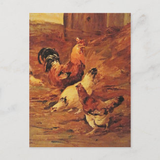 Carte Postale Coq et poulets